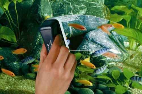 Что можно мыть белизной. Белизна: необычные и интересные способы использования