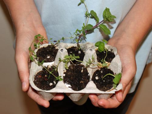 Поделки из упаковок от яиц. Handmade поделки из упаковок для яиц 23 Поделки из упаковок от яиц. Handmade поделки из упаковок для яиц 23