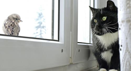 Гидроизоляция лоджии изнутри при утеплении. Гидроизоляция лоджии при утеплении изнутри 02