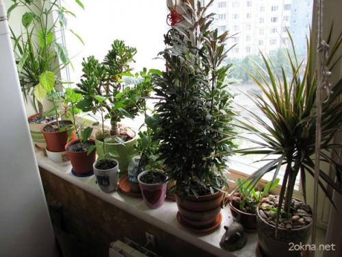 Форточки в окнах делают вверху для того, чтоб. 7 причин для приобретения окна с форточкой