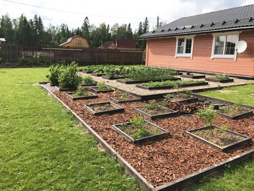 Планировка узкого участка 15 соток. Планировка участка 15 соток: реальный опыт. Пример и схема, как распланировать участок 15 соток.