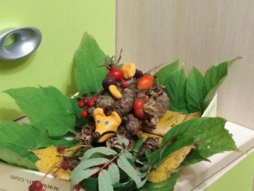 Из чего сделать мордочку для ежика. Забавные животные из природных материалов. Наша поделка в детский сад Запасливый ежик