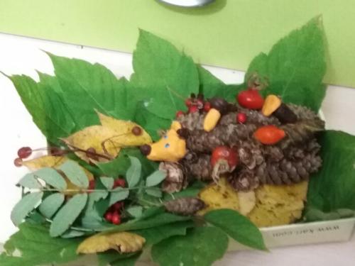 Из чего сделать мордочку для ежика. Забавные животные из природных материалов. Наша поделка в детский сад Запасливый ежик