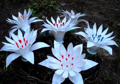 Цветы из пластиковых бутылок пошаговая инструкция. 7 способов научиться делать цветы из пластиковых бутылок своими руками