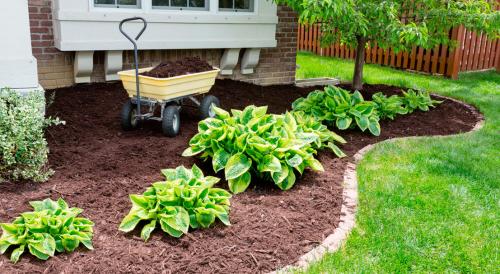 Сад для ленивых своими руками. 7 секретов сада, за которым легко ухаживать