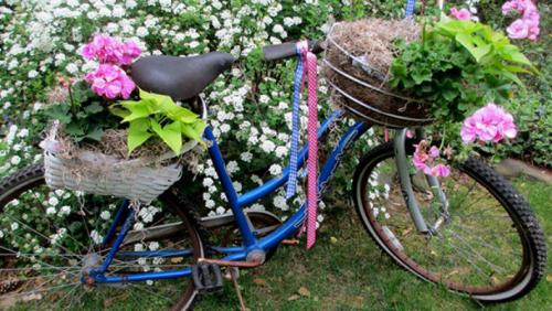 Красивый сад возле дома. Создаем красивый двор при помощи цветочных композиций