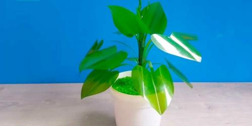 Объемные цветы из пластиковых бутылок. Как сделать цветы из пластиковых бутылок своими руками для сада и огорода