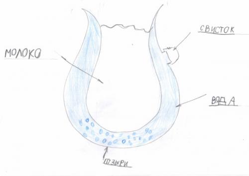 Убежало молоко, что делать. Как вскипятить молоко