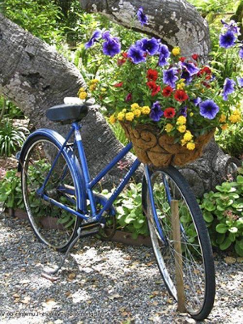 Красивый сад возле дома. Создаем красивый двор при помощи цветочных композиций