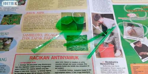 Объемные цветы из пластиковых бутылок. Как сделать цветы из пластиковых бутылок своими руками для сада и огорода