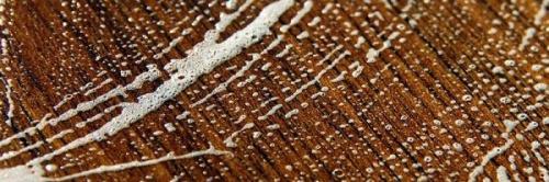 Можно ли мыть ламинат водой.