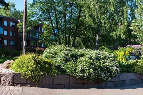 Сад минимального ухода. Без хлопот. Как создать красивый сад, который не нуждается в сложном уходе