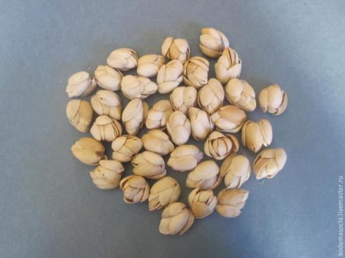 Топиарий из фисташковой скорлупы.