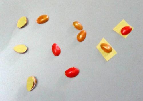 Поделки своими руками из фисташек. Декор для дома своими руками 08 Поделки своими руками из фисташек. Декор для дома своими руками 08