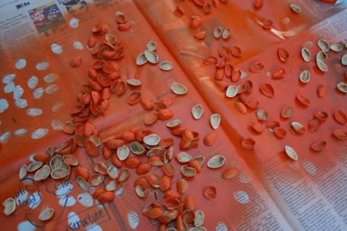 Поделки своими руками из фисташек. Декор для дома своими руками 06 Поделки своими руками из фисташек. Декор для дома своими руками 06