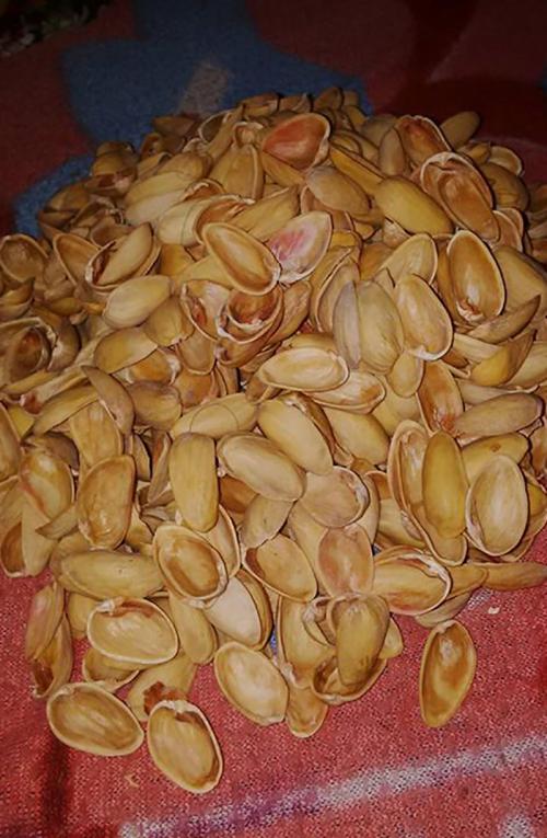 Поделки своими руками из фисташек. Декор для дома своими руками 04 Поделки своими руками из фисташек. Декор для дома своими руками 04