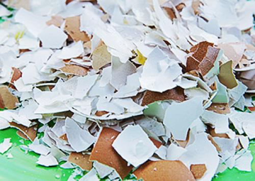 Скорлупа от фисташек в огороде. Скорлупа от фисташек применение в огороде