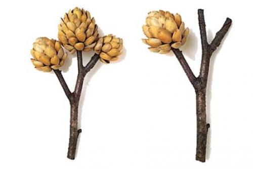 Поделки своими руками из фисташек. Декор для дома своими руками 29 Поделки своими руками из фисташек. Декор для дома своими руками 29