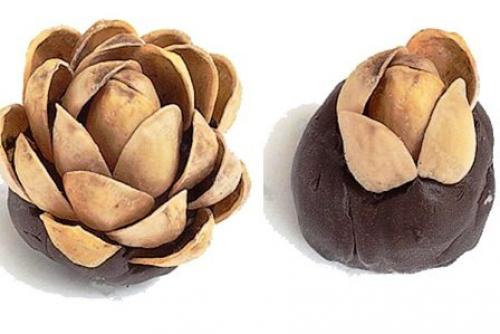 Поделки своими руками из фисташек. Декор для дома своими руками 28 Поделки своими руками из фисташек. Декор для дома своими руками 28