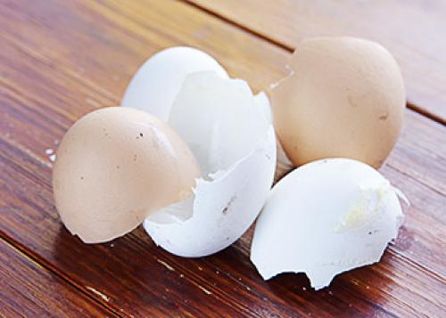 Скорлупа от фисташек в огороде. Скорлупа от фисташек применение в огороде