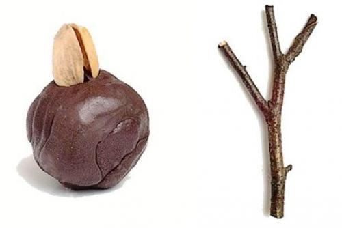 Поделки своими руками из фисташек. Декор для дома своими руками 27 Поделки своими руками из фисташек. Декор для дома своими руками 27