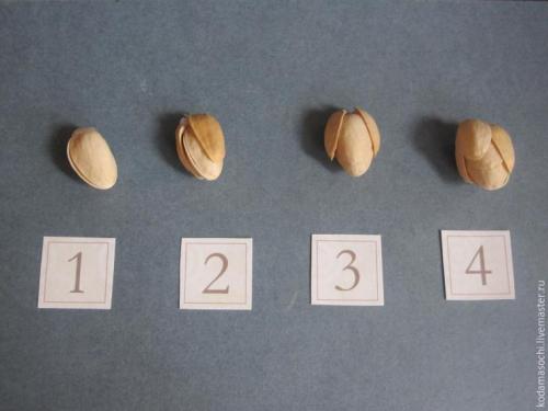 Топиарий из фисташковой скорлупы.