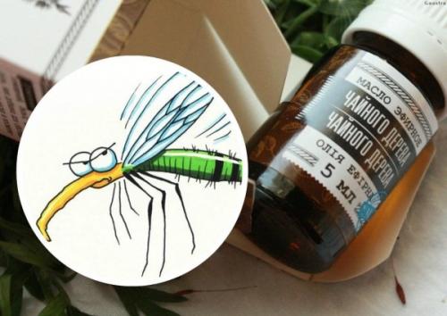 Плесень на диване, как избавиться. Как эффективно избавиться от плесени на мебели 04