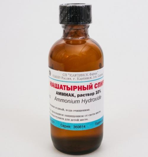 Плесень на диване, как избавиться. Как эффективно избавиться от плесени на мебели 02