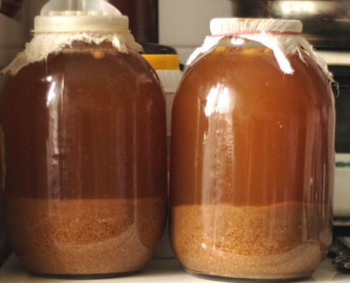 Что делать со старым хлебом. Что можно делать со старым хлебом 11