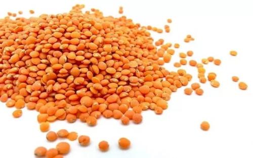 Как приготовить чечевицу на гарнир. Как и сколько варить чечевицу?