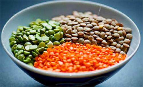 Как варить чечевицу красную пропорции. Как приготовить чечевицу