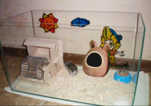 Домик для хомяка из пластиковых бутылок. Как сделать домик для хомяка своими руками — читаем суть