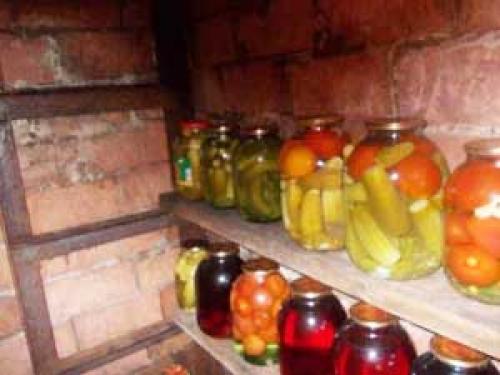 Как обработать погреб медным купоросом. Способы обработки погребов 01