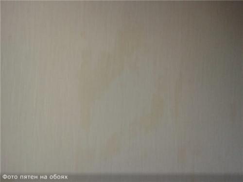 Можно ли клеить обои на ОСБ плиту. Подходит ли ОСБ для облицовки обоями