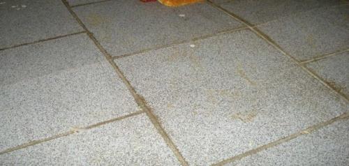 Как на деревянный пол положить плитку в ванной. Сложности при укладке плитки