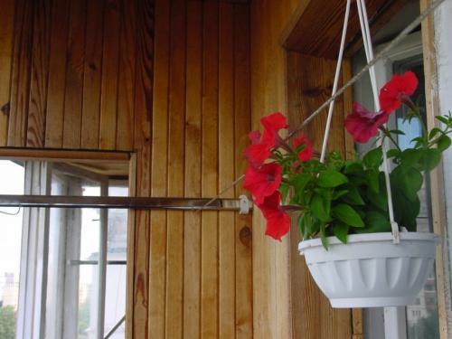 Как на балконе повесить бельевые веревки. Веревки для белья