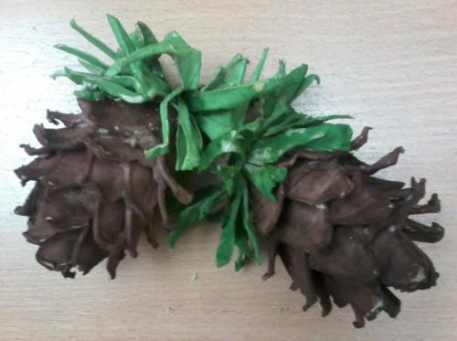 Детские поделки из яичных лотков. 29 октября. Выставка поделок из яичных лотков на МААМ