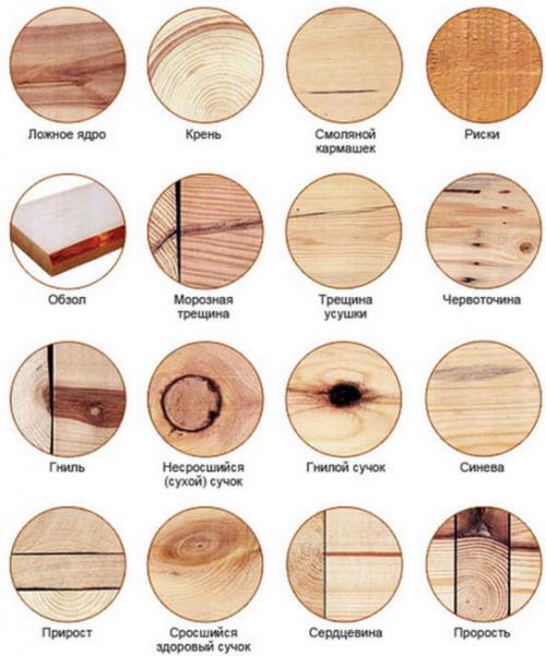 Из чего сделать потолок в доме. Выбор древесины 01