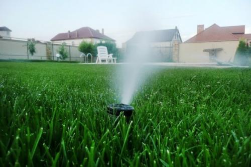 Система полива своими руками форум. Капельный полив: капельницы, спринклеры, микроразбрызгиватели