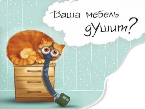 ДСП. Что такое ДСП и технология производства