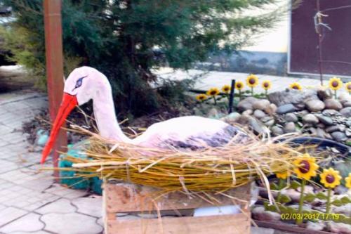 Как сделать фигурки лебедя из гипса или цемента. Как сделать из гипса и алебастра лебедя