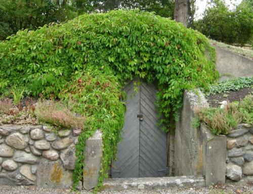 Дизайн погреба в частном доме снаружи. Погреб на даче своими руками: типы сооружения, особенности, выбор места на участке. Оптимальная последовательность строительства своими руками