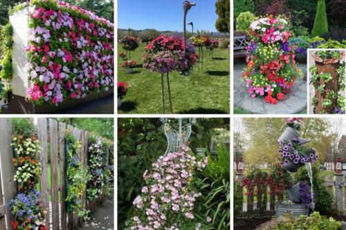 Ландшафтный дизайн маленького участка. Идеи и варианты ландшафтного дизайна на маленьком участке перед домом