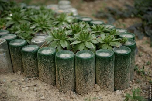 Подвесная клумба из пластиковых бутылок. Клумба из бутылок: 130 фото примеров оформления участка при помощи пластиковой и стеклянной тары