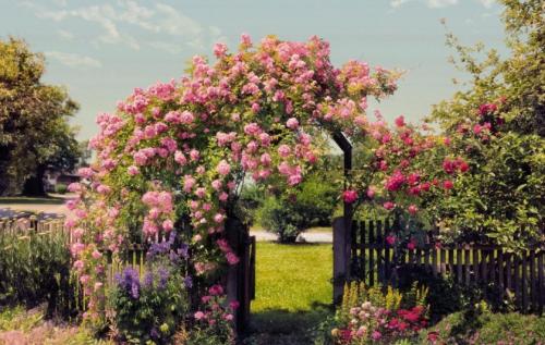 Ландшафтный дизайн маленького участка. Идеи и варианты ландшафтного дизайна на маленьком участке перед домом