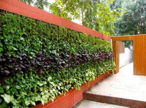 Ландшафтный дизайн маленького участка. Идеи и варианты ландшафтного дизайна на маленьком участке перед домом