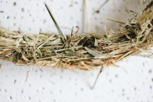 Как сделать декоративное гнездо из веток. Декоративное гнездо своими руками