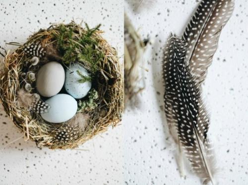 Как сделать декоративное гнездо из веток. Декоративное гнездо своими руками