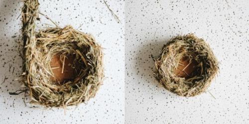 Как сделать декоративное гнездо из веток. Декоративное гнездо своими руками