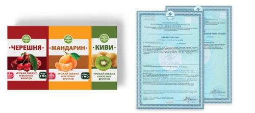 Мандариновые деревья картинки. Мандариновое дерево, уход в домашних условиях, фото 03 Мандариновые деревья картинки. Мандариновое дерево, уход в домашних условиях, фото 03